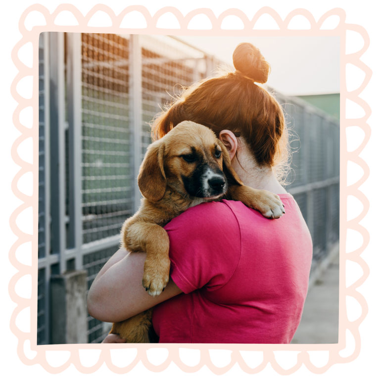 Probleme im Tierschutz Frau trägt Hund im Tierheim