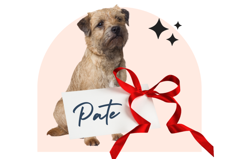 Patenschaft verschenken Ein Hund sitzt mit einer Schiefertafel, auf der "Pate" steht, vor einem rosa Hintergrund.