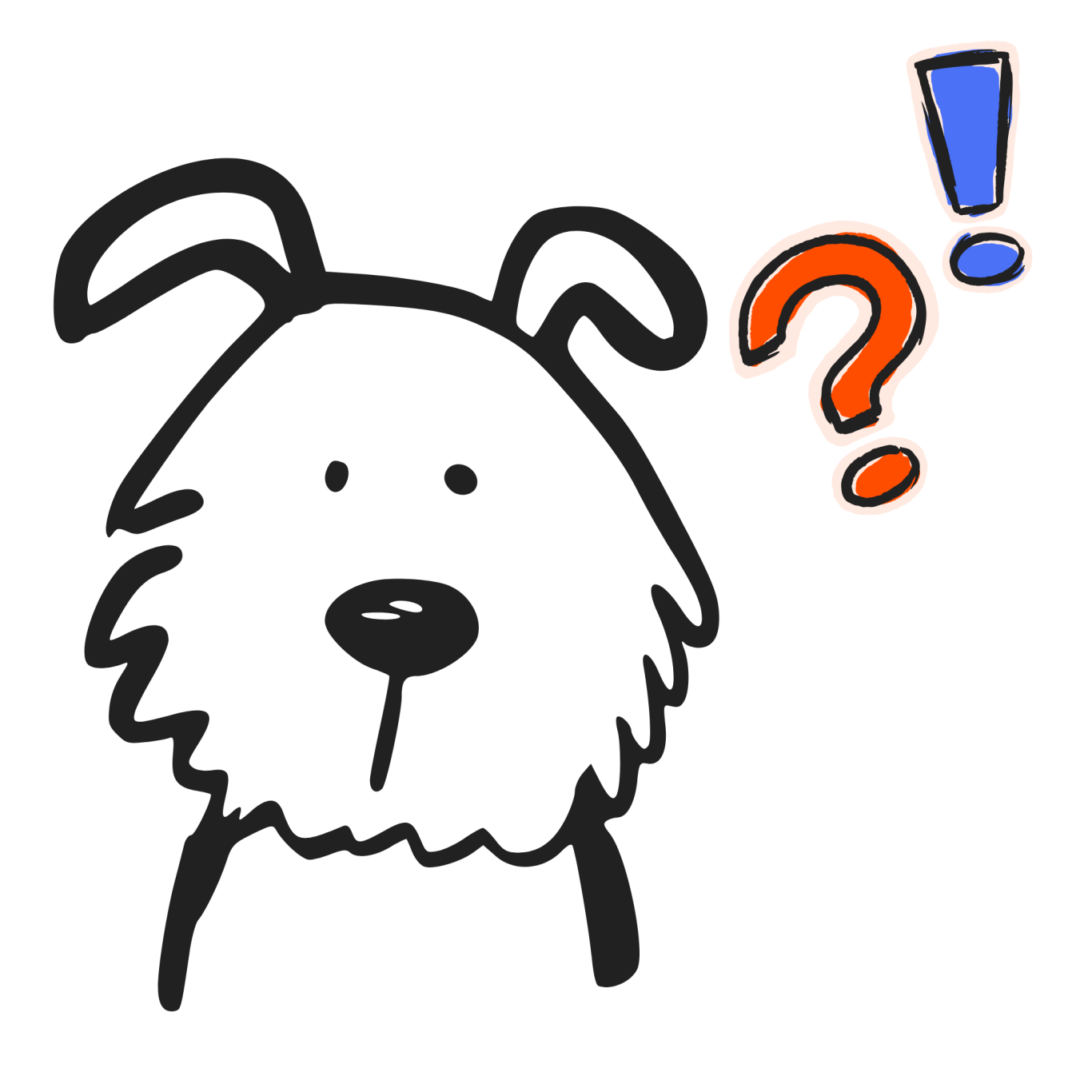 Hund adoptieren? Ein Hund mit fragendem Ausdruck und einem Ausrufungszeichen.